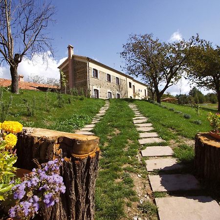 Gasthaus La Rosa Nel Bicchiere Soveria Mannelli Exterior foto