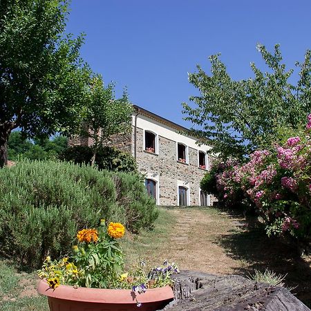 Gasthaus La Rosa Nel Bicchiere Soveria Mannelli Exterior foto